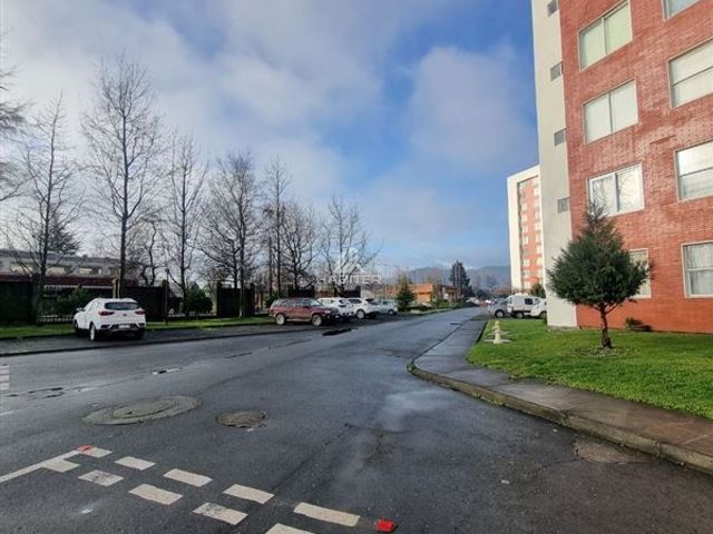 place photo 40