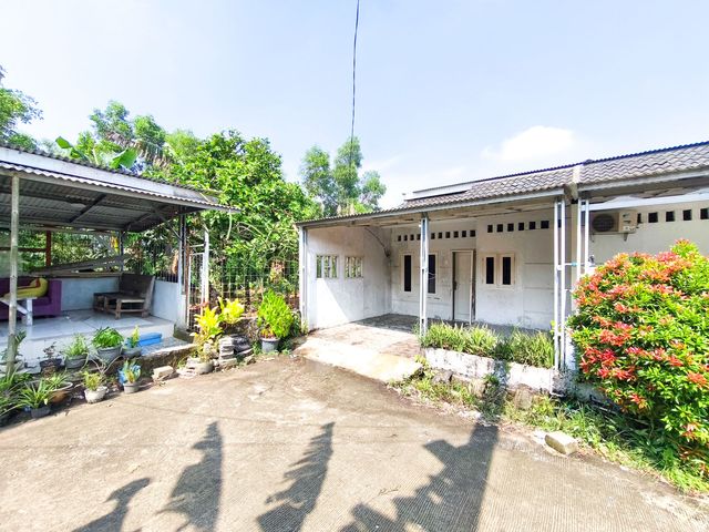 place photo 17