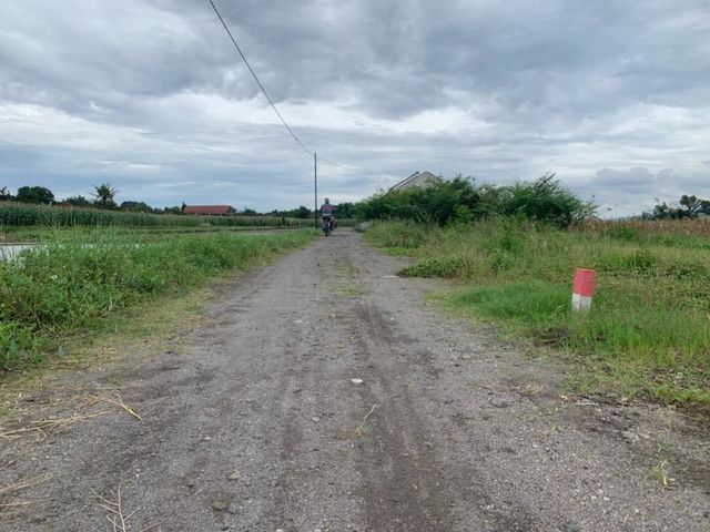 place photo 3