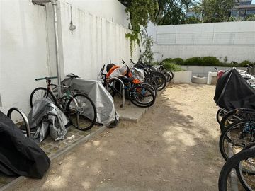 place photo 22