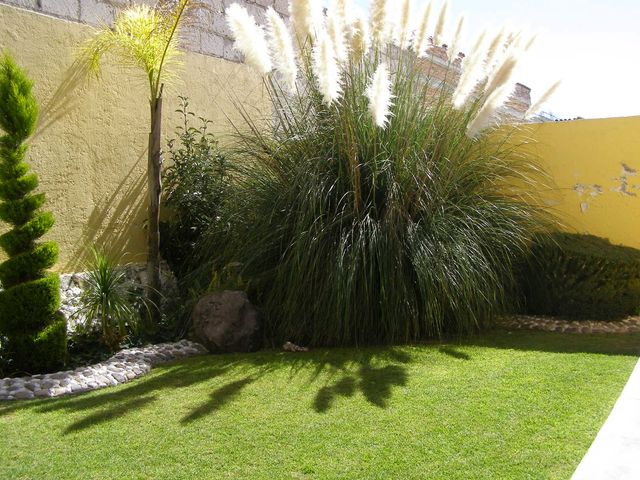 place photo 25