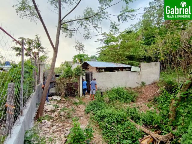 place photo 26