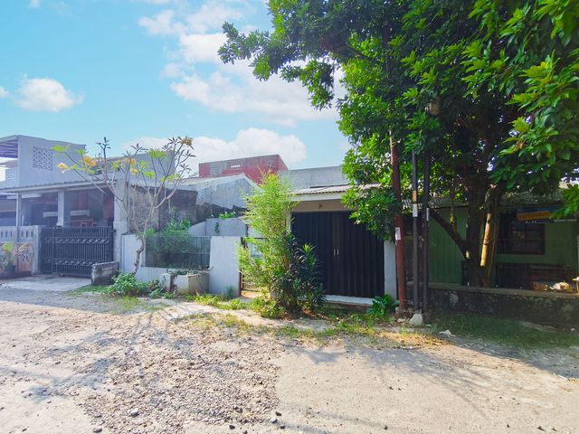 place photo 34