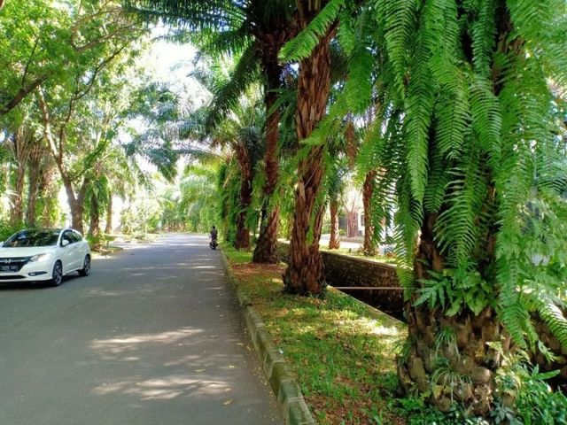 place photo 8