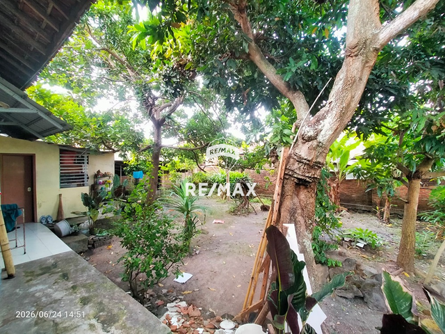 place photo 13