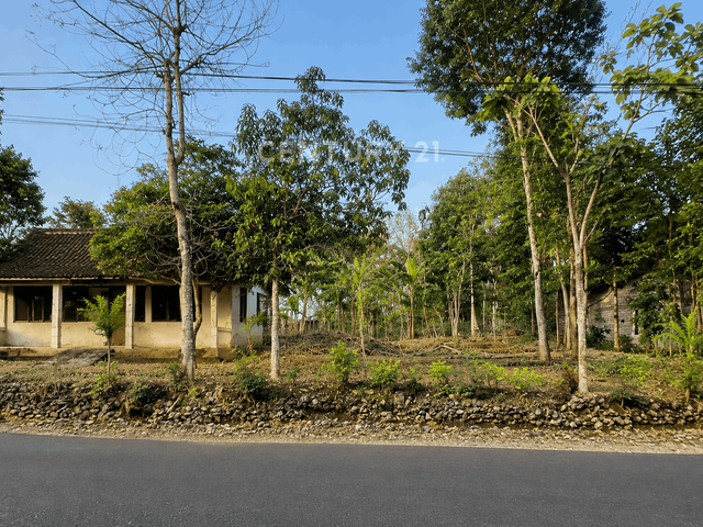 place photo 2