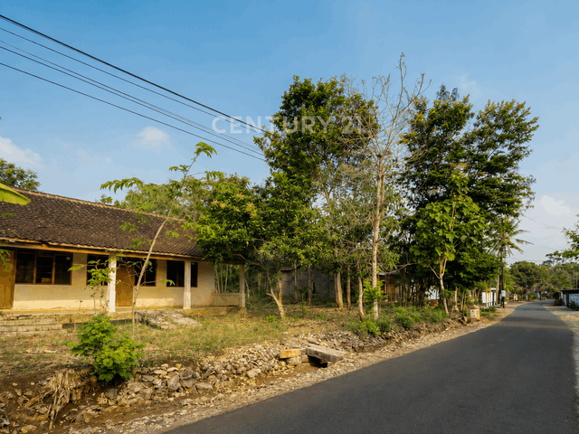 place photo 4