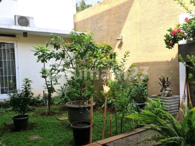 place photo 20