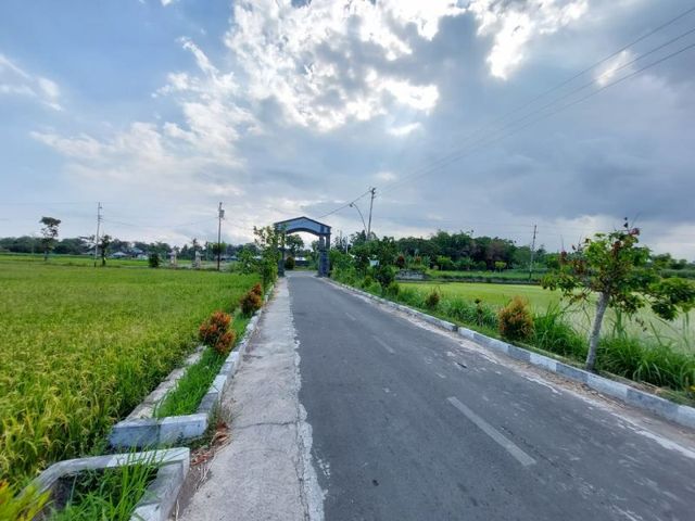 place photo 4