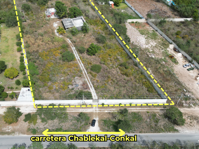 place photo 11