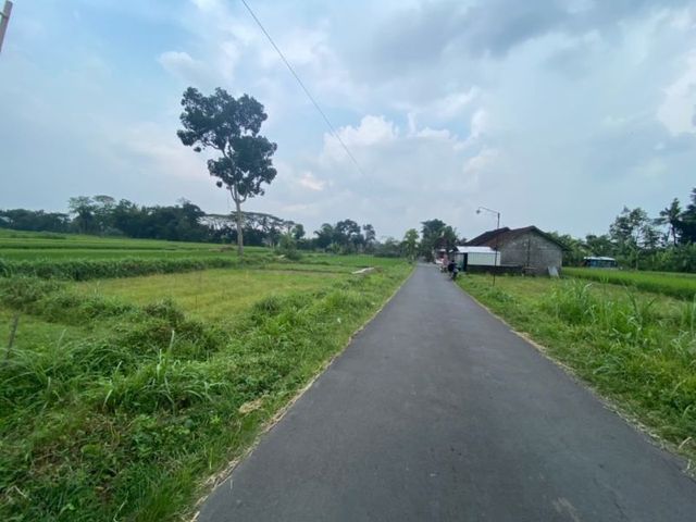 place photo 6
