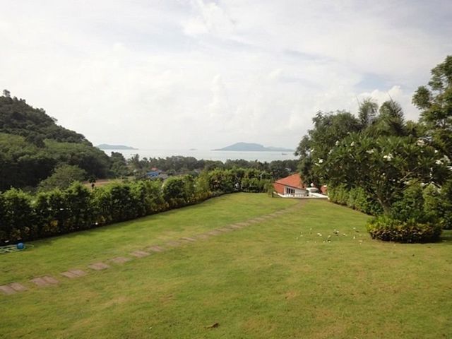 place photo 17