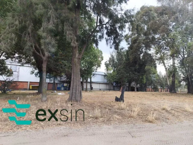 place photo 15