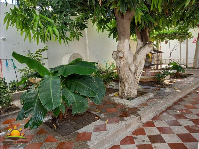 place photo 19