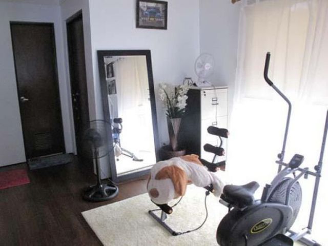 place photo 9