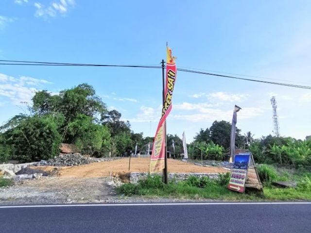 place photo 14