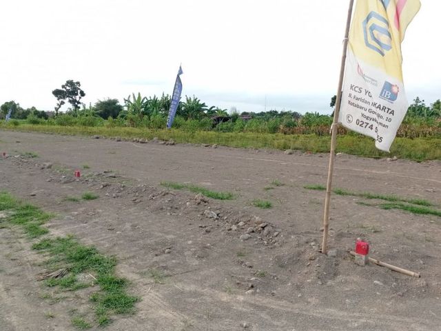 place photo 3