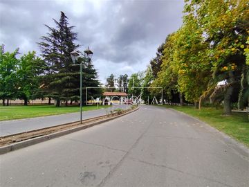 place photo 32