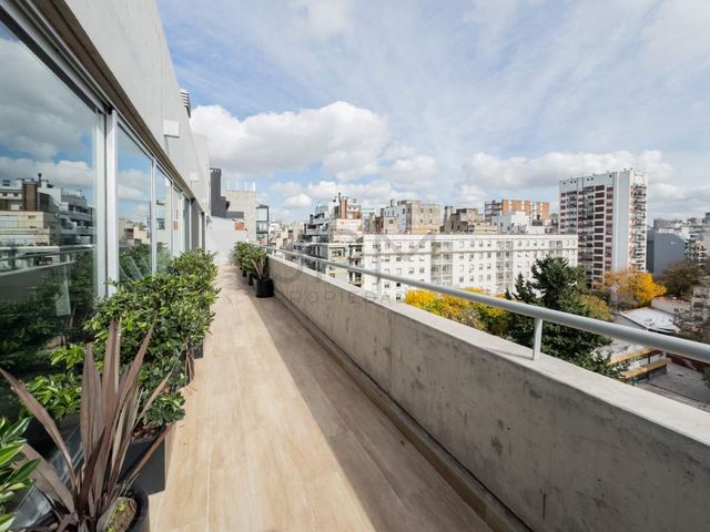 place photo 38