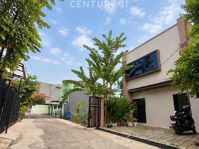 place photo 12