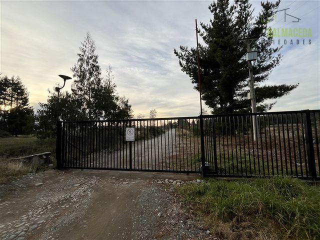 place photo 45