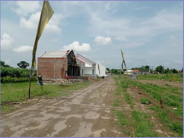 place photo 5