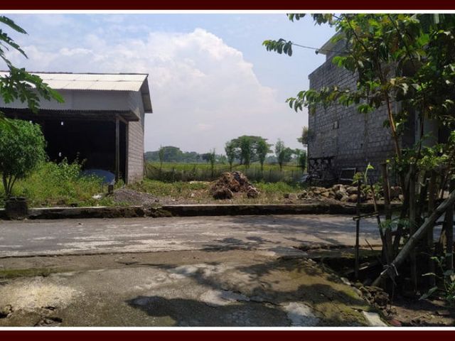 place photo 5