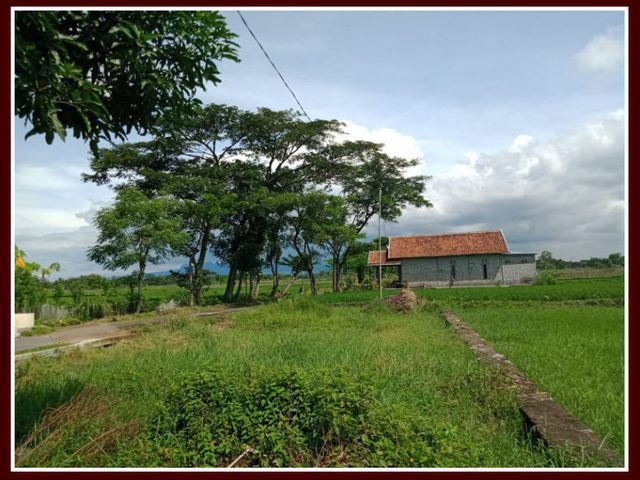 place photo 6
