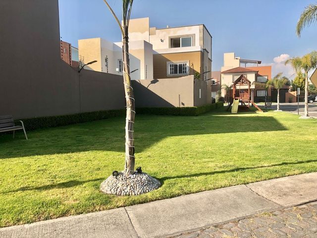 place photo 24