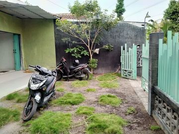 place photo 4