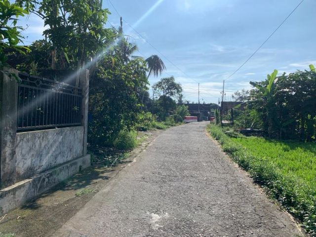 place photo 7