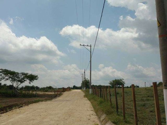 place photo 35