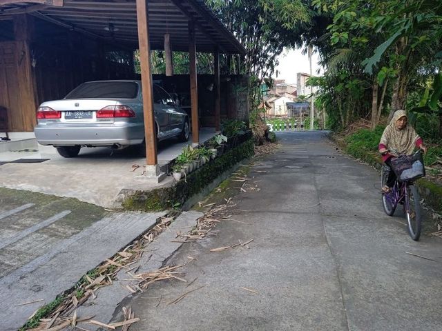 place photo 8