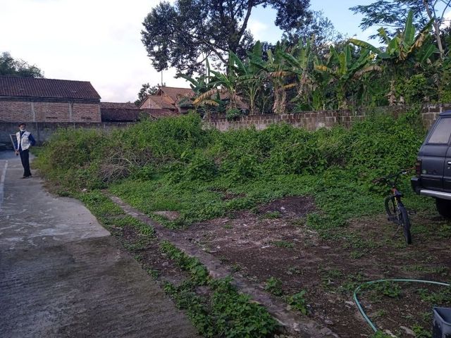place photo 2
