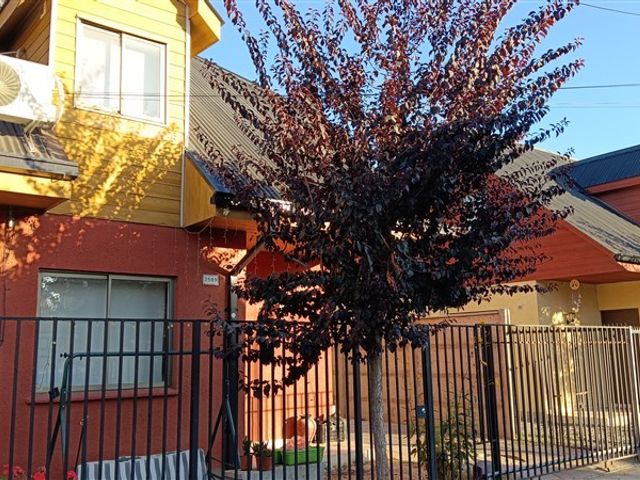 place photo 34