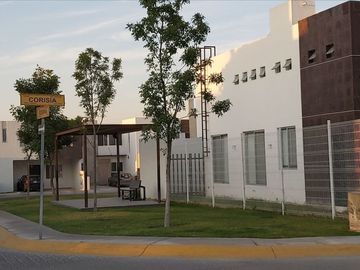 place photo 31