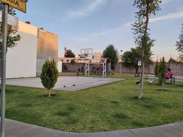 place photo 29