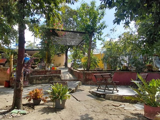 place photo 18