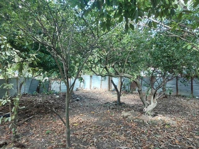 place photo 22