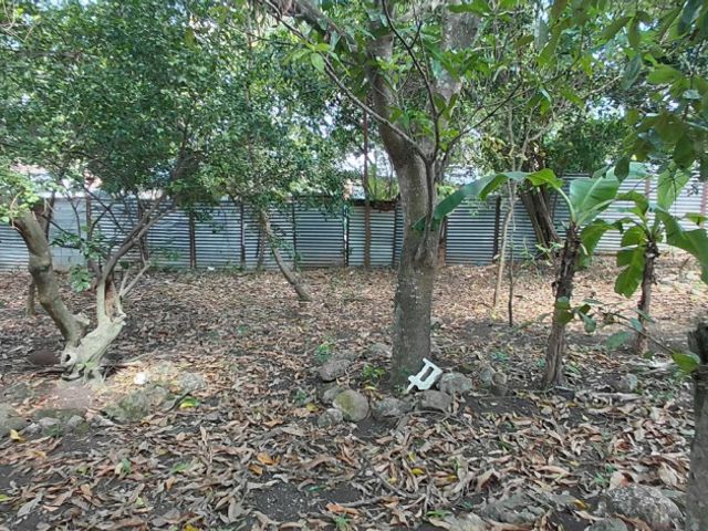 place photo 25