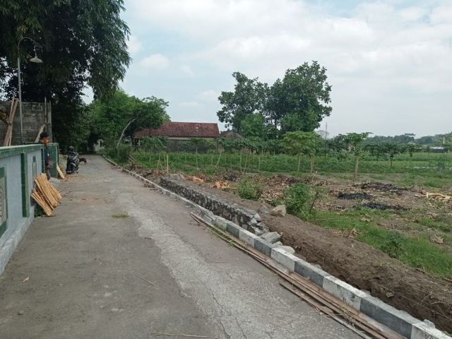 place photo 4