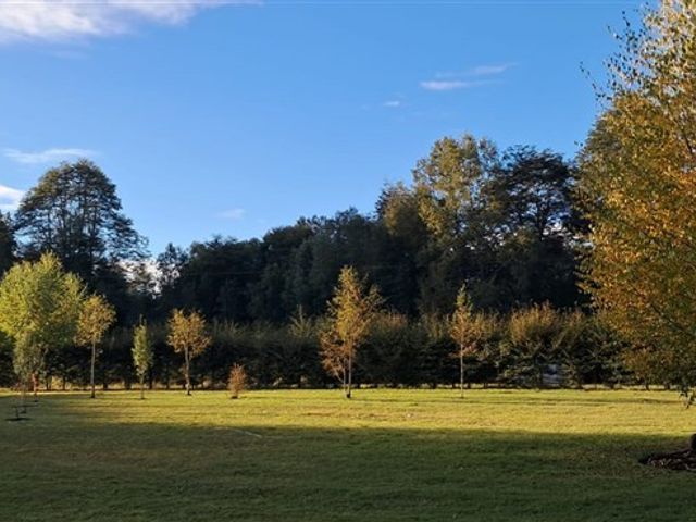 place photo 41