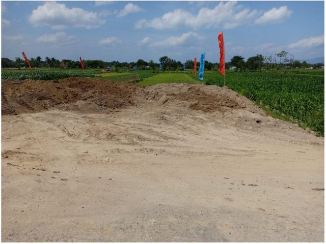 place photo 6