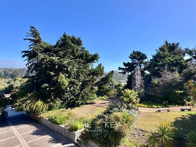 place photo 47