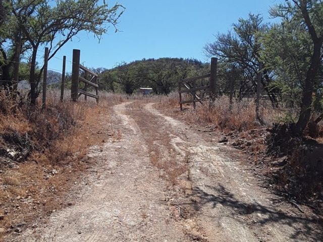 place photo 15
