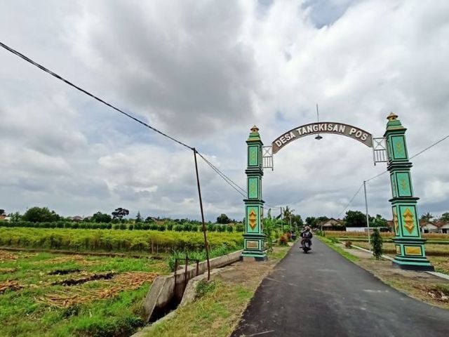 place photo 1