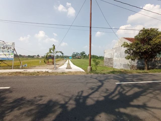 place photo 4