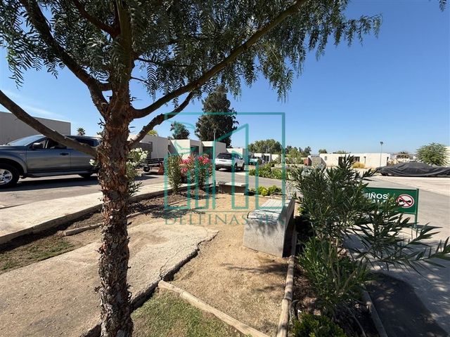 place photo 39