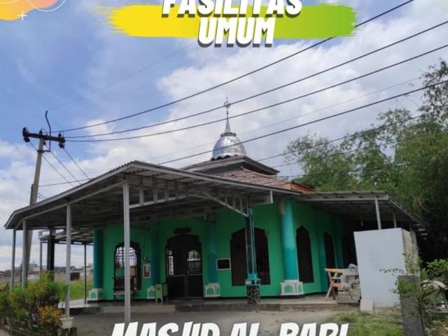 place photo 13