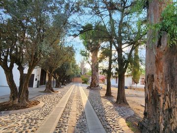 place photo 23